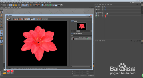 C4D怎么制作花朵開放的動(dòng)畫效果