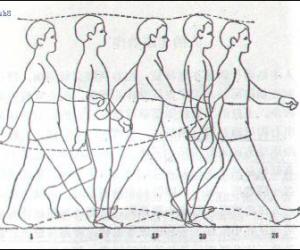 Flash動(dòng)畫技巧：人側(cè)面走路動(dòng)畫制作