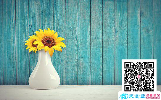 sunflower-3292932__340.jpg