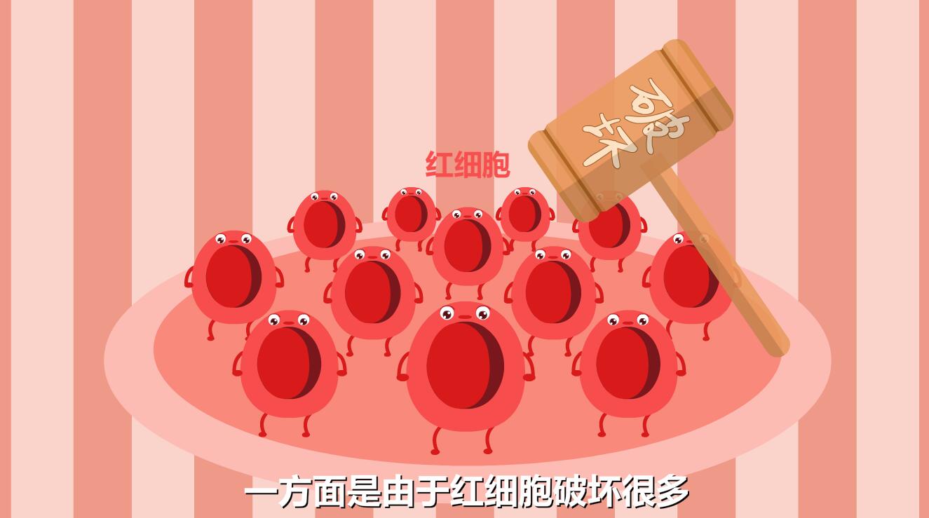 新生兒黃疸怎么退的快？紅細(xì)胞被破壞.jpg