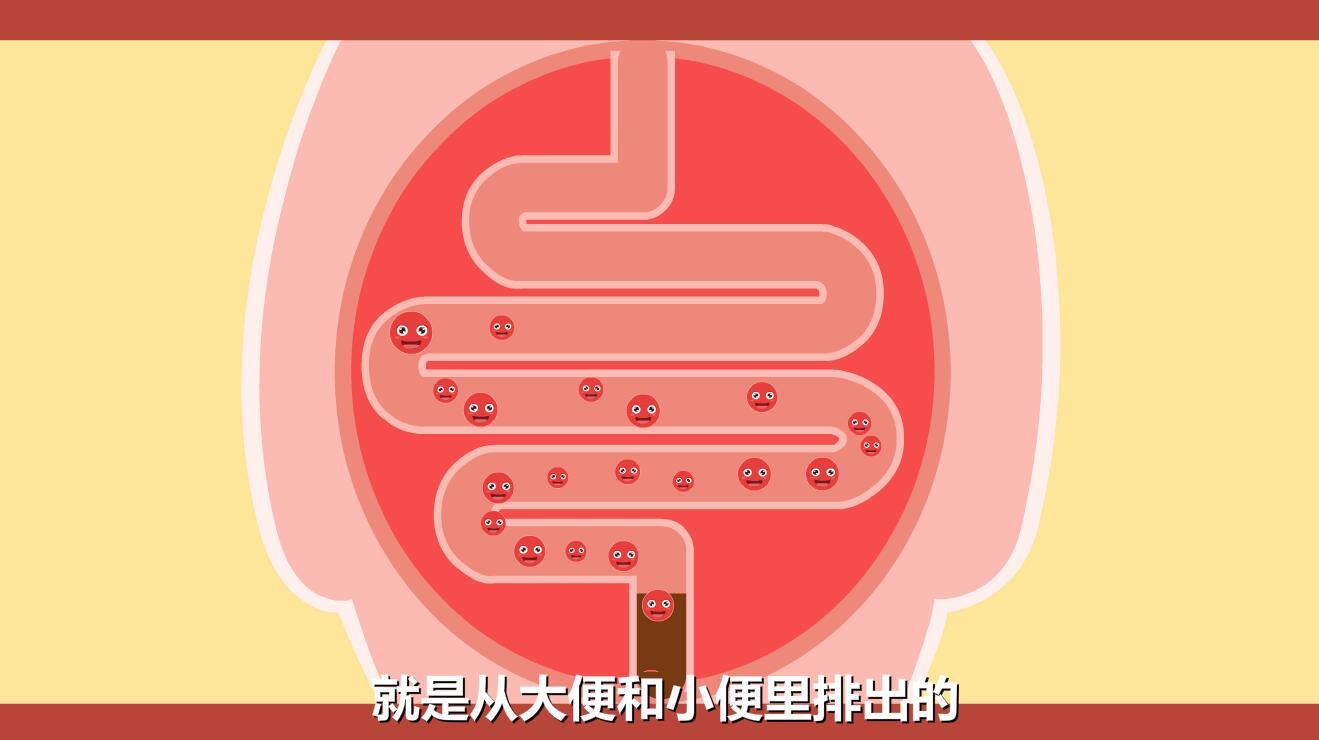 新生兒黃疸怎么退的快？膽紅素跟隨大小便排除體外.jpg