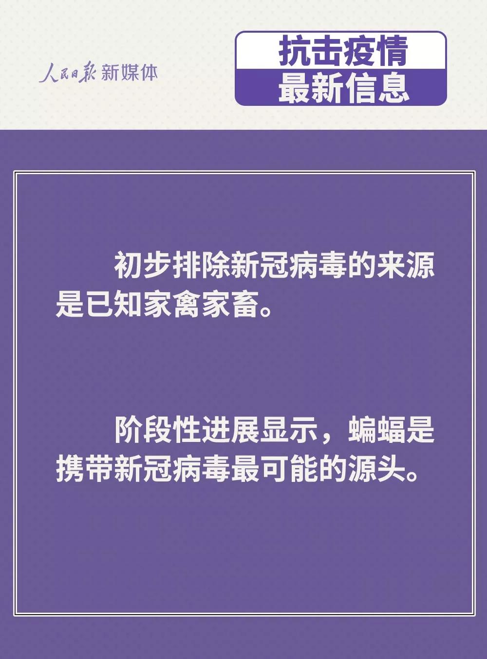 防控新型冠狀病毒：雞鴨會(huì)傳播病毒？疫苗研究得怎樣？.jpg