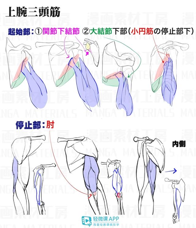 黃鶴樓動漫