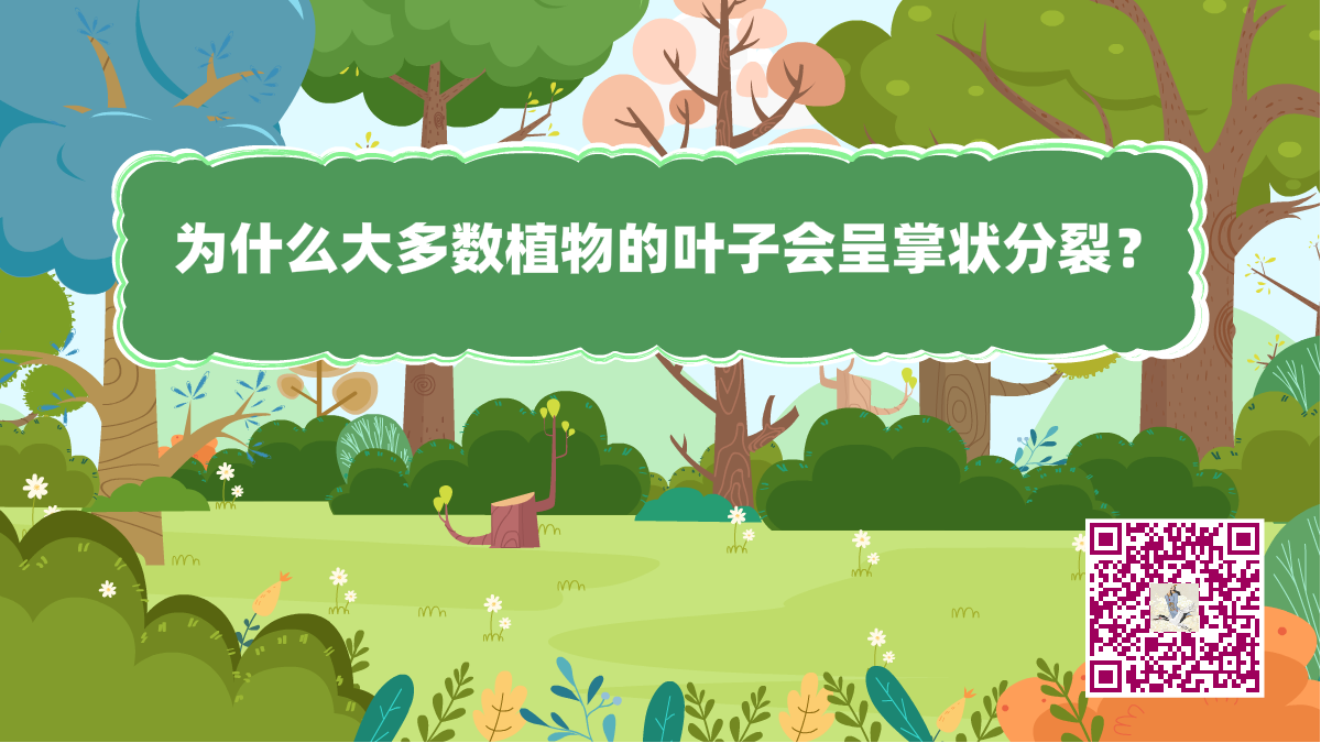 十萬個(gè)為什么標(biāo)題（植物的葉子）1200.png