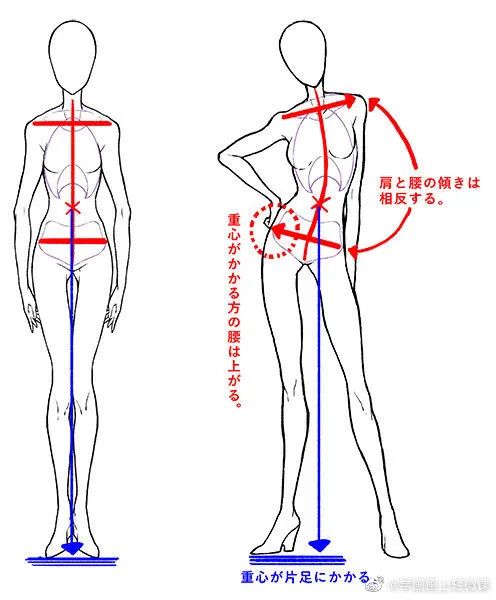 人體動勢線與姿勢參考，學(xué)畫畫收藏不虧