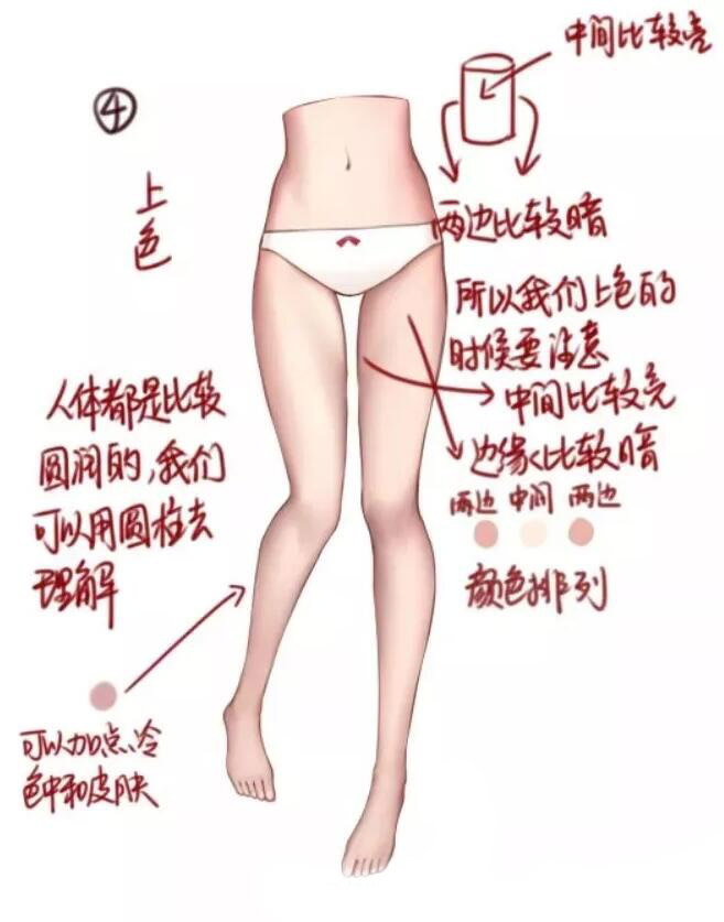 腿部教程（女性）大腿結(jié)構(gòu)畫法教程4.jpg