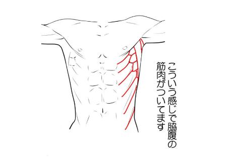 手繪動(dòng)漫設(shè)計(jì)：肝不肝你說了算！人體姿勢(shì)素材大分享