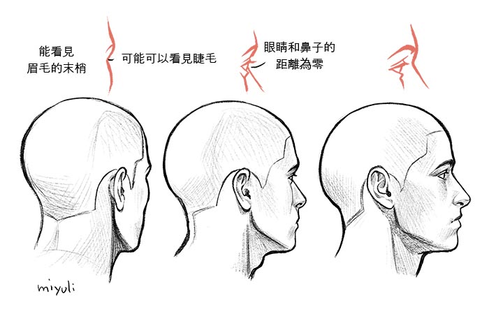 從側(cè)面的狀態(tài)觀看時，人物轉(zhuǎn)向另一側(cè)後，就只能看見眉毛和睫毛.jpg