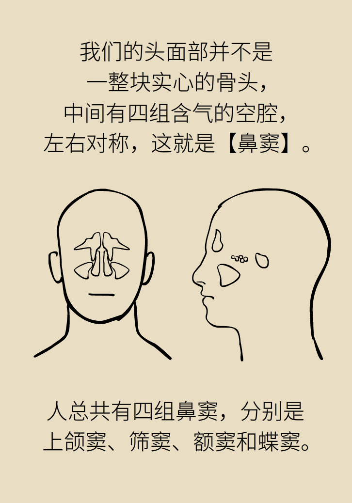 為什么鼻竇發(fā)炎，疼的卻是頭、眼和牙？