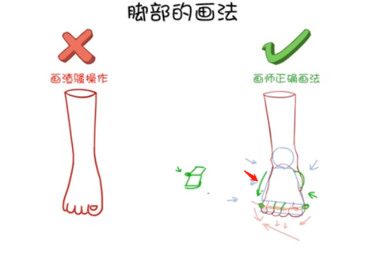 腳掌對腳后跟有一個遮擋的關(guān)系，所以在畫正面腳的時候，一定要注意.png