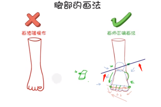 在腳腕的地方，畫出一些凸出來的踝關(guān)節(jié)，一定要記住里面的踝關(guān)節(jié)會比外面的踝關(guān)節(jié)要高，能形成一個傾斜的坡度。.png