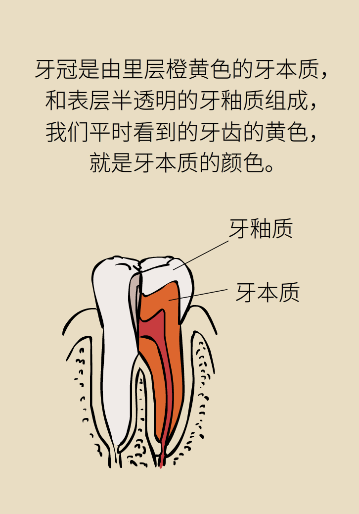 牙太黃，這些“美白”方法管用嗎？