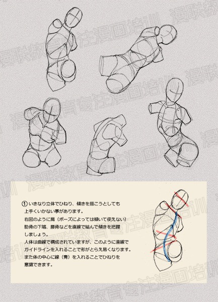 零基礎(chǔ)學(xué)繪畫(huà)教程！如何正確掌握繪畫(huà)人體結(jié)構(gòu)？