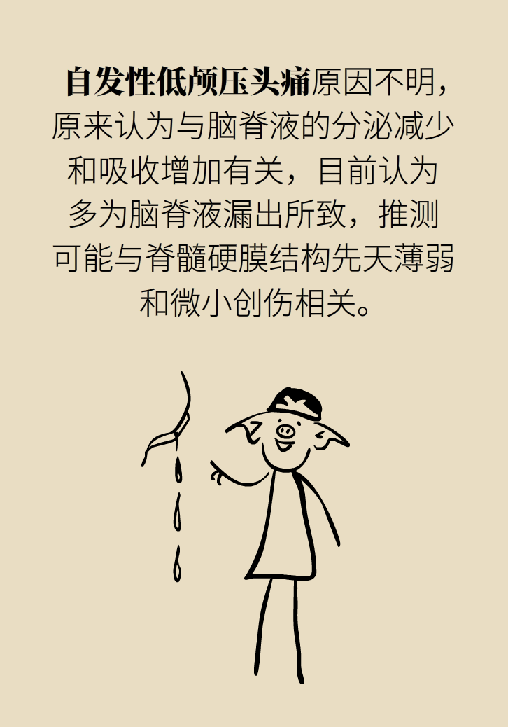 練瑜伽把腦脊液拉漏了！常見的“瑜伽病”你知道多少