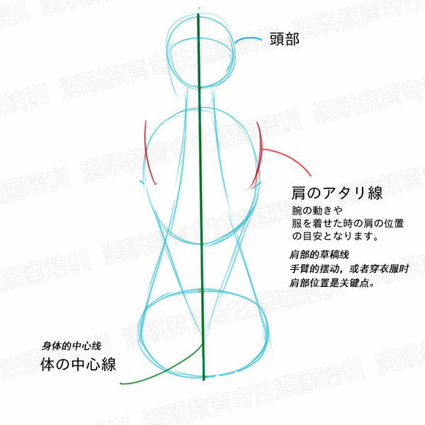 「教程」如何正確掌握人體結(jié)構(gòu) part 01 男女背部的區(qū)別畫法