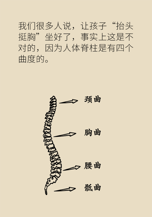 正確坐姿科普動漫制作：抬頭挺胸竟然不是最正確的姿勢？