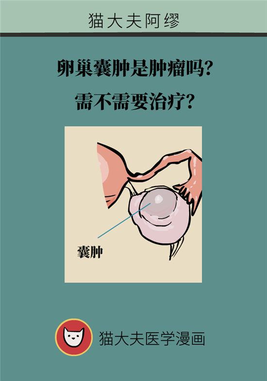 卵巢囊腫科普動漫：卵巢囊腫是腫瘤嗎？要學(xué)會這樣區(qū)分