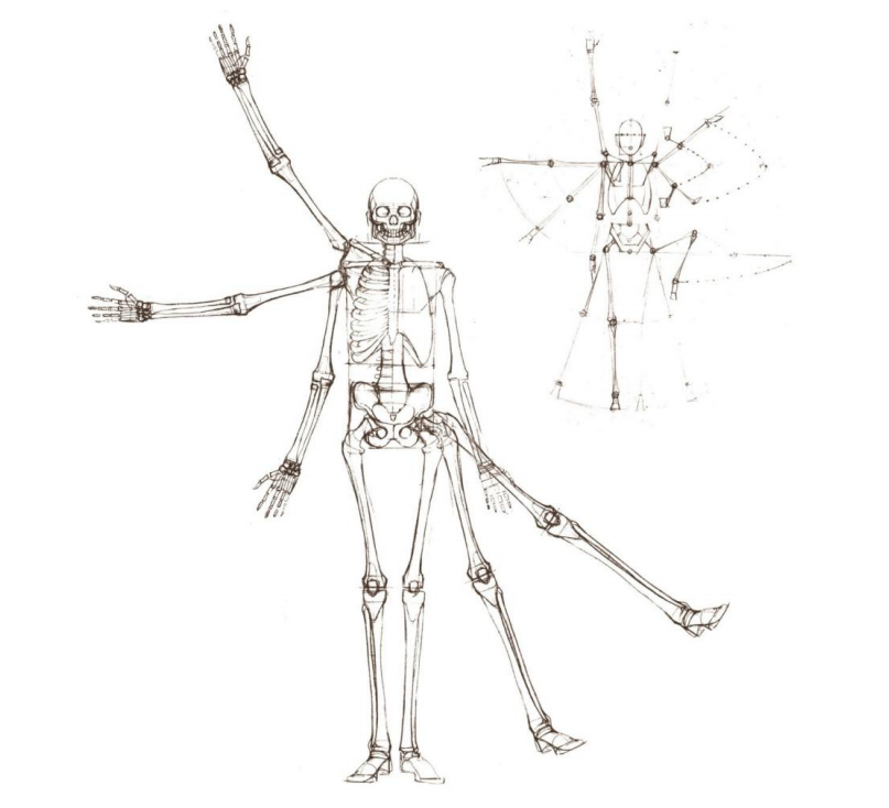 「動漫設(shè)計教程」人體繪畫基礎(chǔ) part 01 認(rèn)識骨骼（1）
