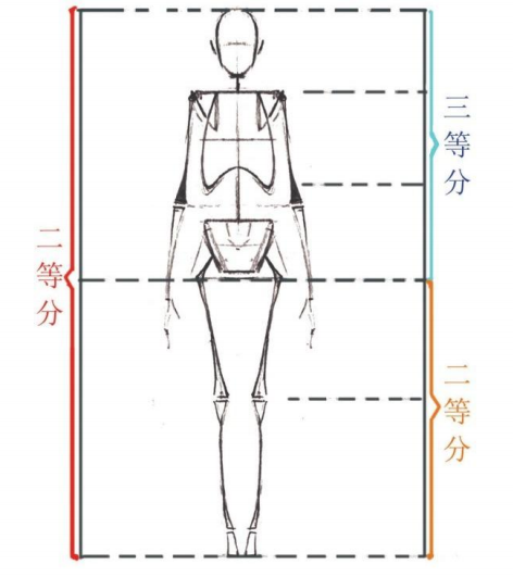 「動漫設(shè)計教程」人體繪畫基礎(chǔ) part 01 認(rèn)識骨骼（1）