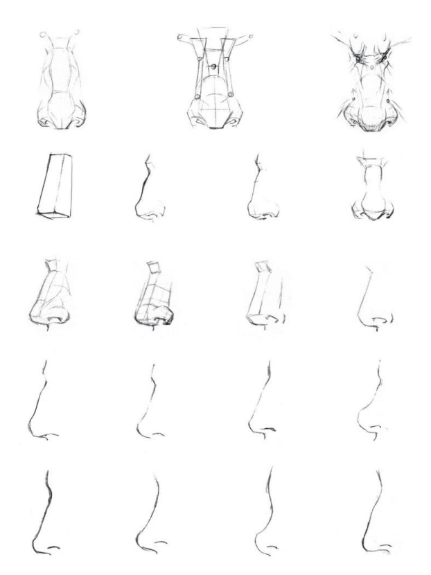 「動(dòng)漫設(shè)計(jì)」人體繪畫基礎(chǔ) part 02 認(rèn)識(shí)肌肉（1）