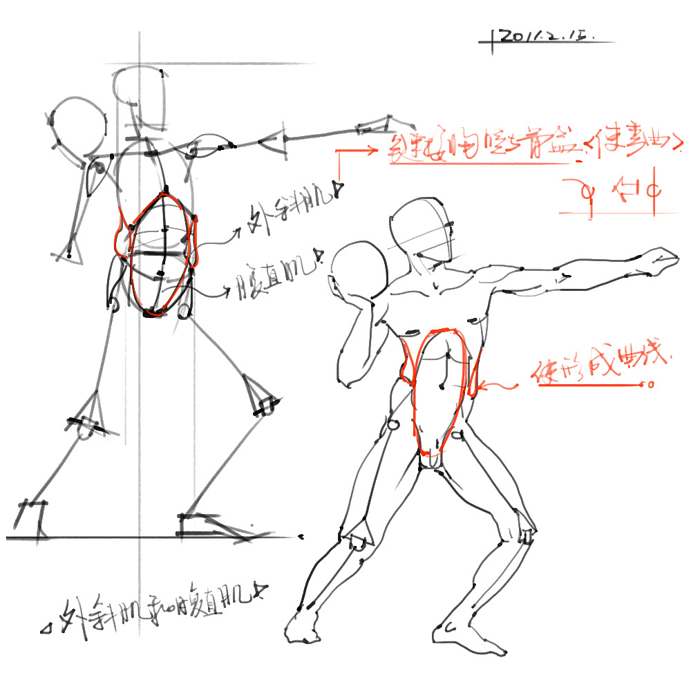 「動(dòng)漫設(shè)計(jì)」分享一波繪畫專用人體解剖素材 part 02