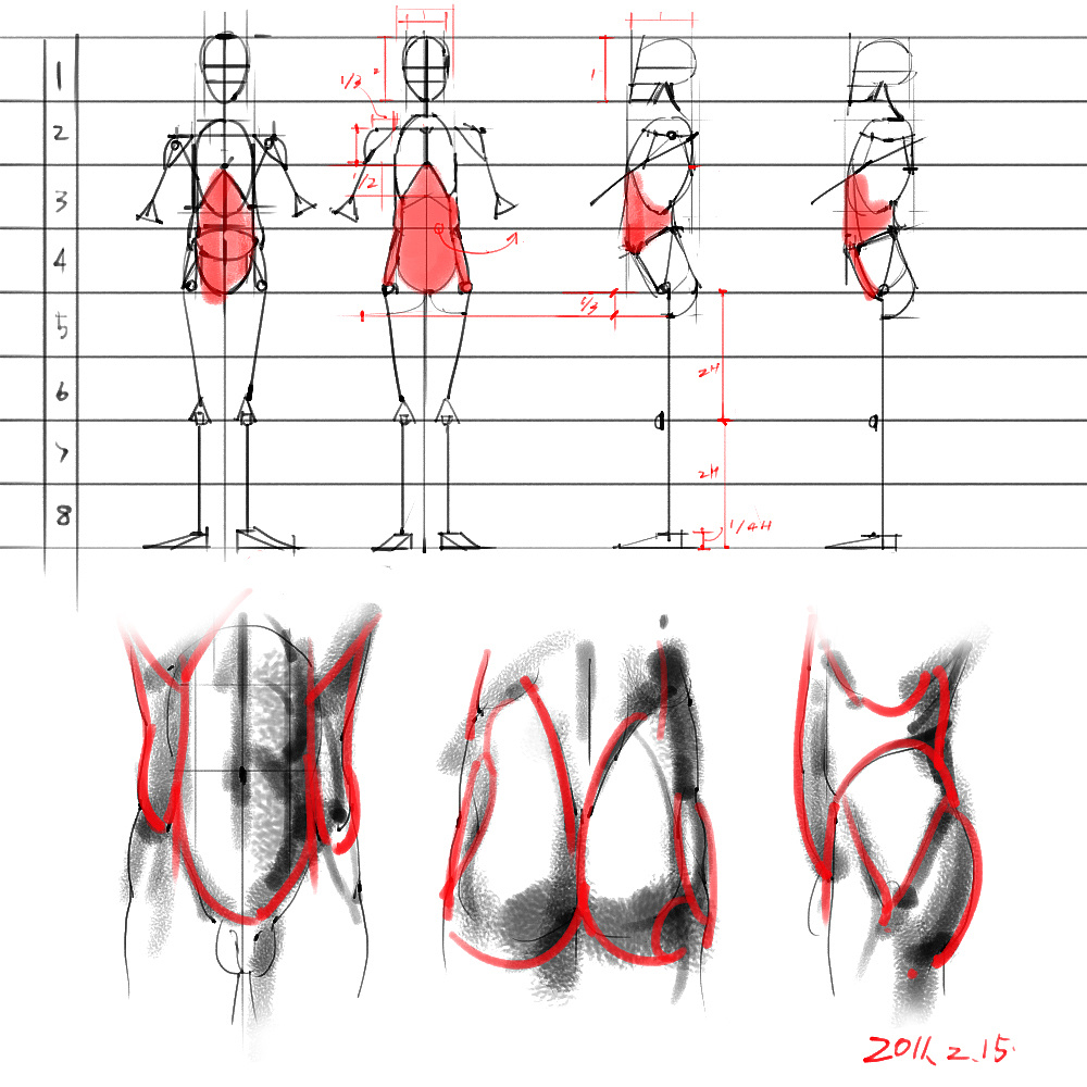 「動漫設(shè)計」分享一波繪畫專用人體解剖素材 part 03