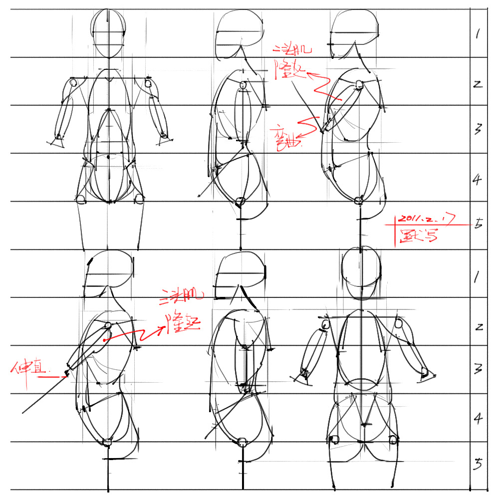 「動漫設(shè)計」分享一波繪畫專用人體解剖素材 part 03