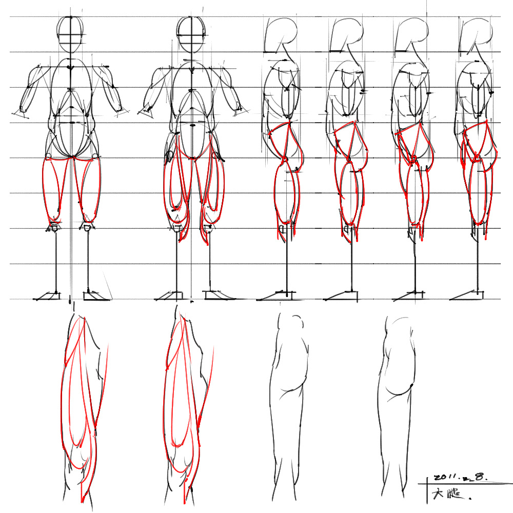 「動(dòng)漫設(shè)計(jì)」分享一波繪畫專用人體解剖素材 part 04