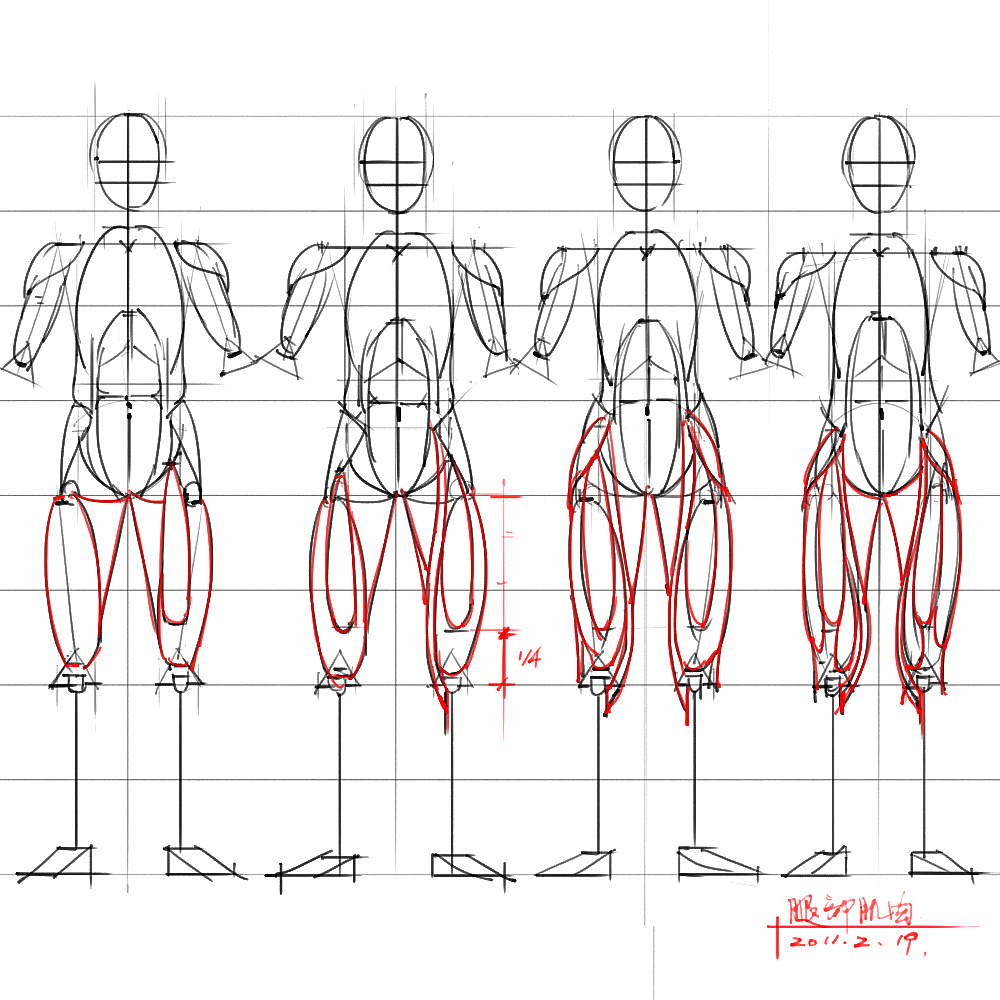 「動(dòng)漫設(shè)計(jì)」分享一波繪畫專用人體解剖素材 part 04