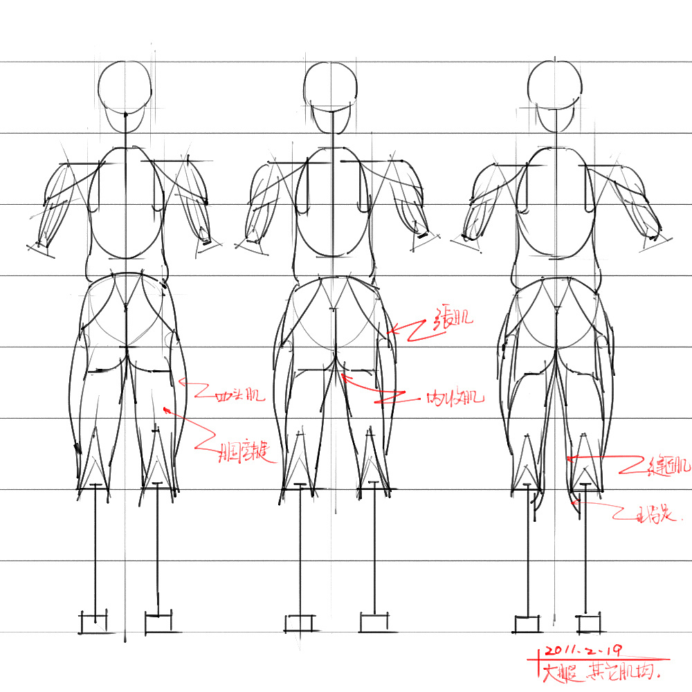 「動(dòng)漫設(shè)計(jì)」分享一波繪畫專用人體解剖素材 part 04