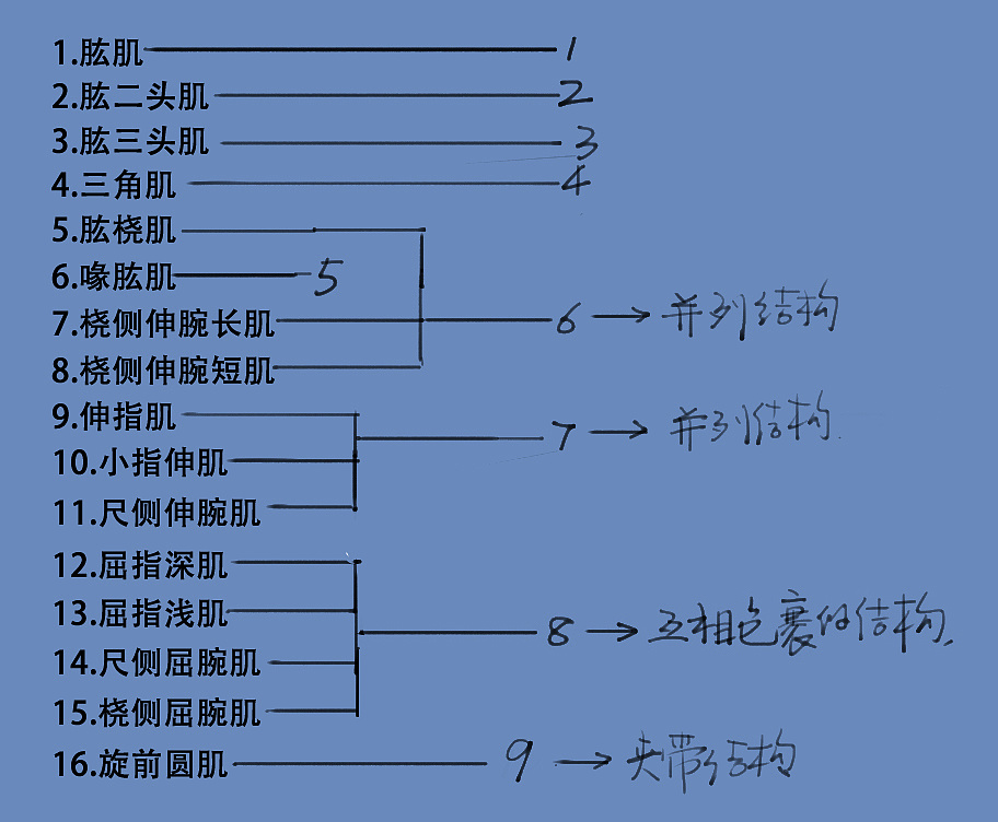 「動漫設計」分享一波繪畫專用人體解剖素材 part 07