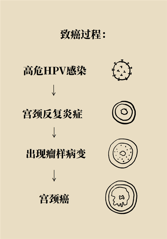 癌癥會傳染嗎？專家：這些高危因素得注意