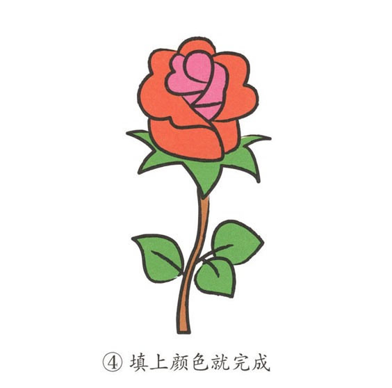 玫瑰花簡(jiǎn)筆畫(huà)彩色圖片