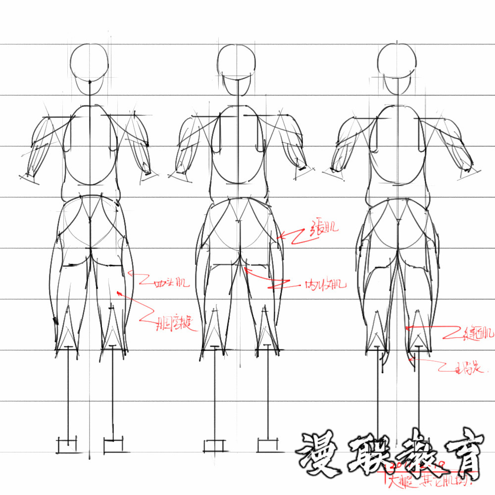 「動漫設(shè)計素材」分享一波繪畫專用人體解剖素材 part 08