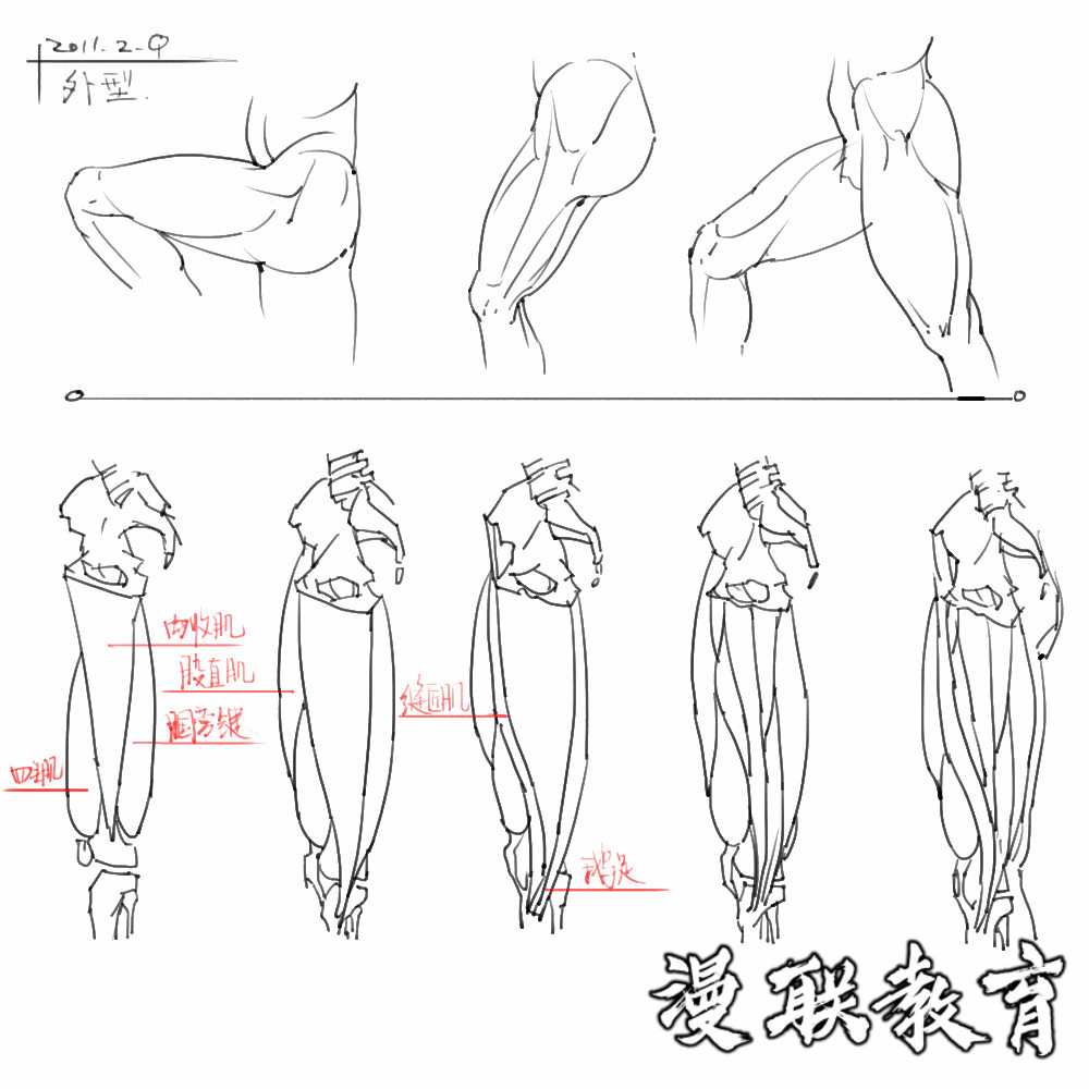 「動漫設(shè)計素材」分享一波繪畫專用人體解剖素材 part 08