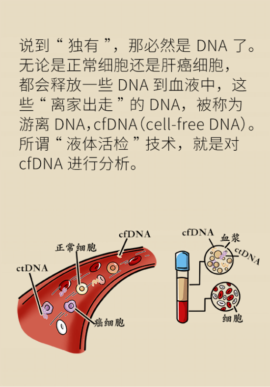 論發(fā)現(xiàn)早期肝癌的本事，cfDNA比AFP更精準，比影像學更早一步