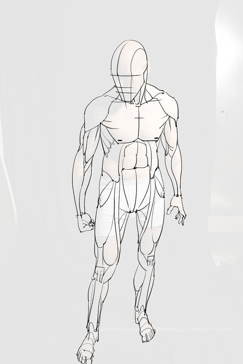 「動(dòng)漫設(shè)計(jì)制作素材」分享一波繪畫(huà)專(zhuān)用人體解剖素材 part 10