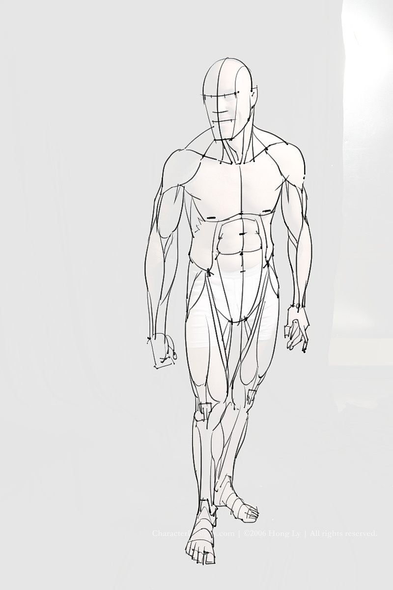 「動(dòng)漫設(shè)計(jì)制作素材」分享一波繪畫(huà)專(zhuān)用人體解剖素材 part 10