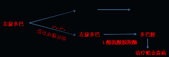 同樣的藥，為什么對(duì)他有效卻對(duì)你沒效果，可能得問腸道菌群