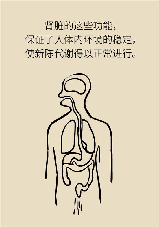 經(jīng)常憋尿會(huì)得急性腎炎？