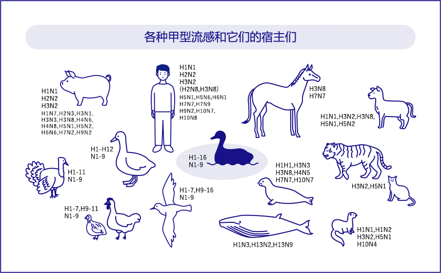 流感科普動漫制作