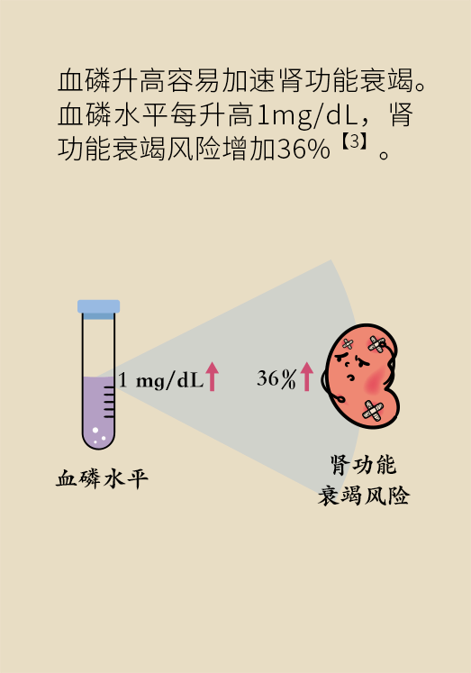 腎科普動(dòng)漫制作