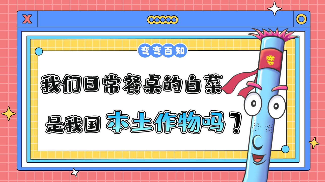 我們?nèi)粘２妥郎系陌撞耸俏覈就磷魑飭幔?jpg