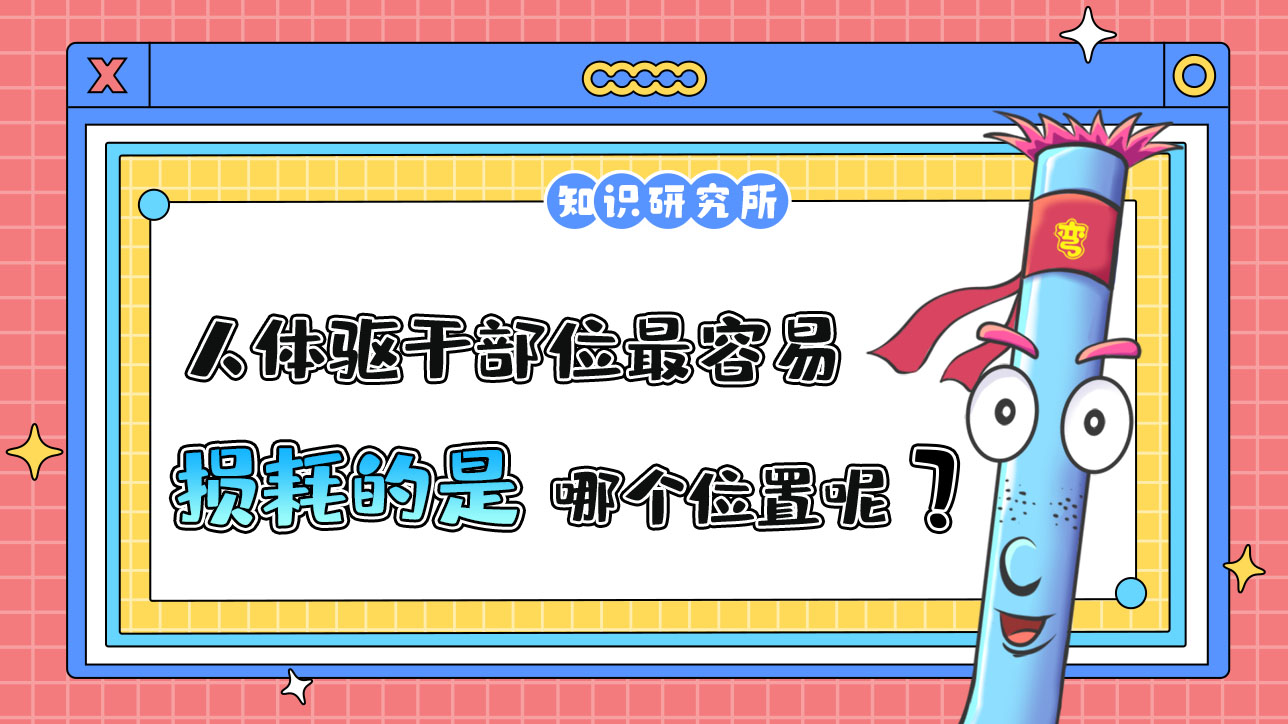 人體驅(qū)干部位最容易損耗的是哪里呢？.jpg