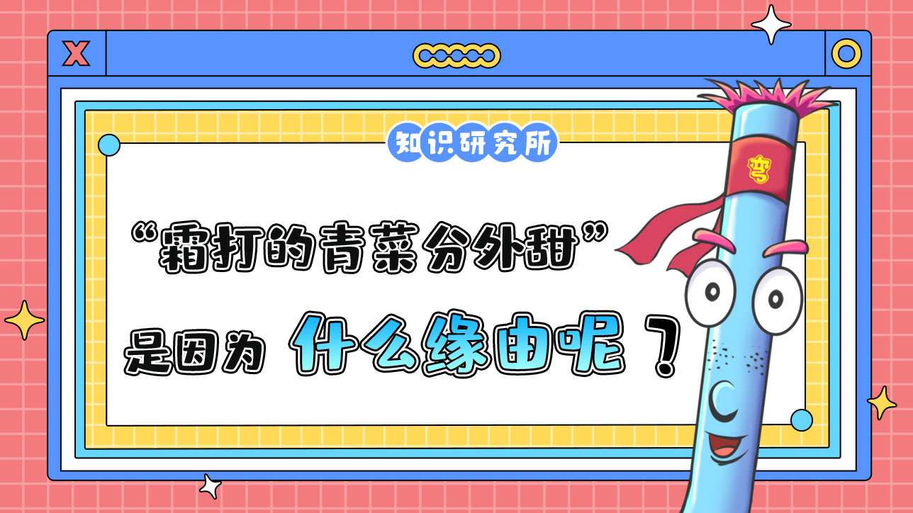 俗話說“霜打的青菜分外甜”，是因?yàn)槭裁茨兀?jpg